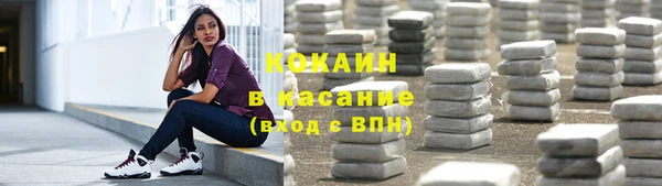 винт Абаза
