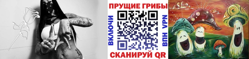 Галлюциногенные грибы прущие грибы  купить  сайты  Яблоновский 